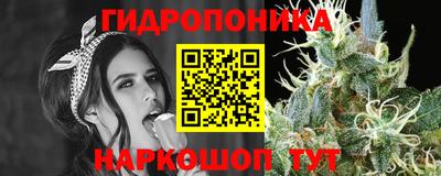 PSILOCYBIN Кулебаки