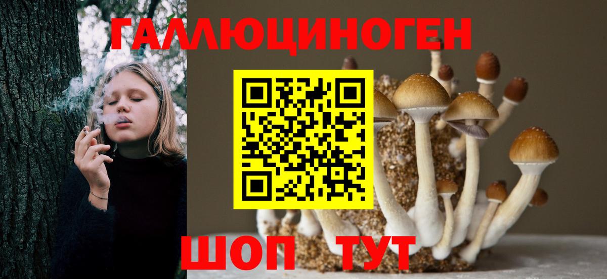 Галлюциногенные грибы мухоморы Ишим