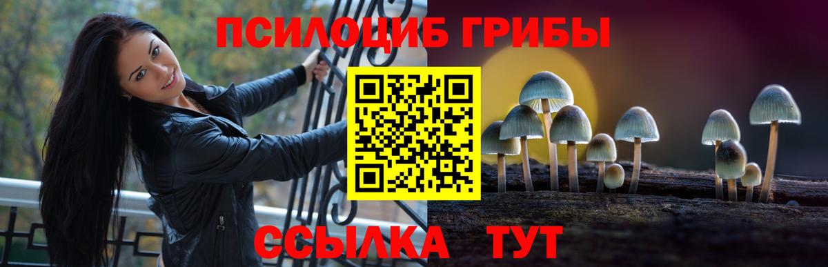 Галлюциногенные грибы Magic Shrooms  Галлюциногенные грибы Magic Shrooms  Вход с VPN  Ишим 